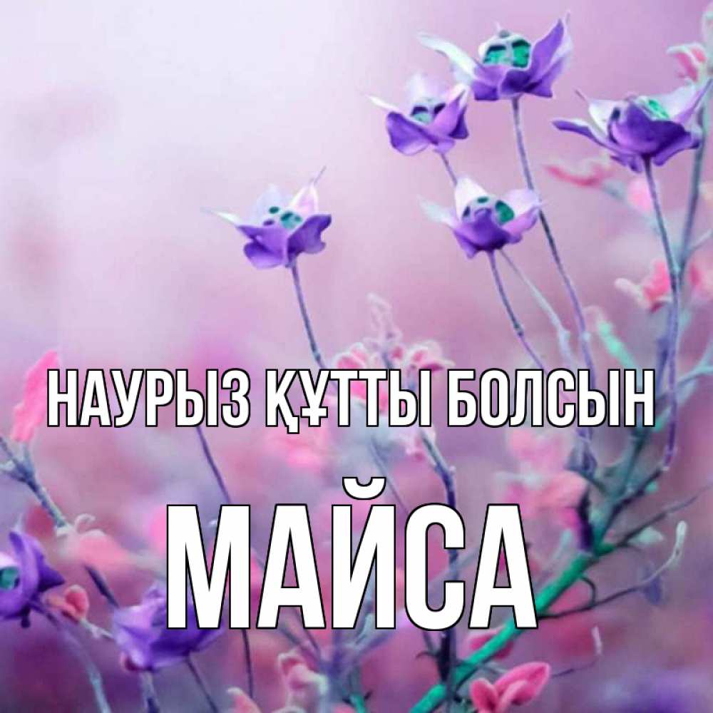 Күн сайын ашық хат с именем, МАЙСА Наурыз құтты болсын наурыз  2 Онлайн тегін жүктеп алу тілектері бар керемет карта 