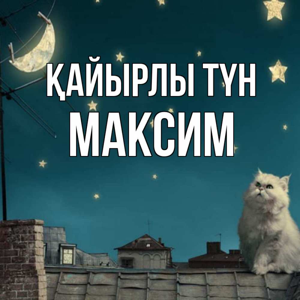 Күн сайын ашық хат с именем, Максим Қайырлы түн белый кот сидит на крыше Онлайн тегін жүктеп алу тілектері бар керемет карта 