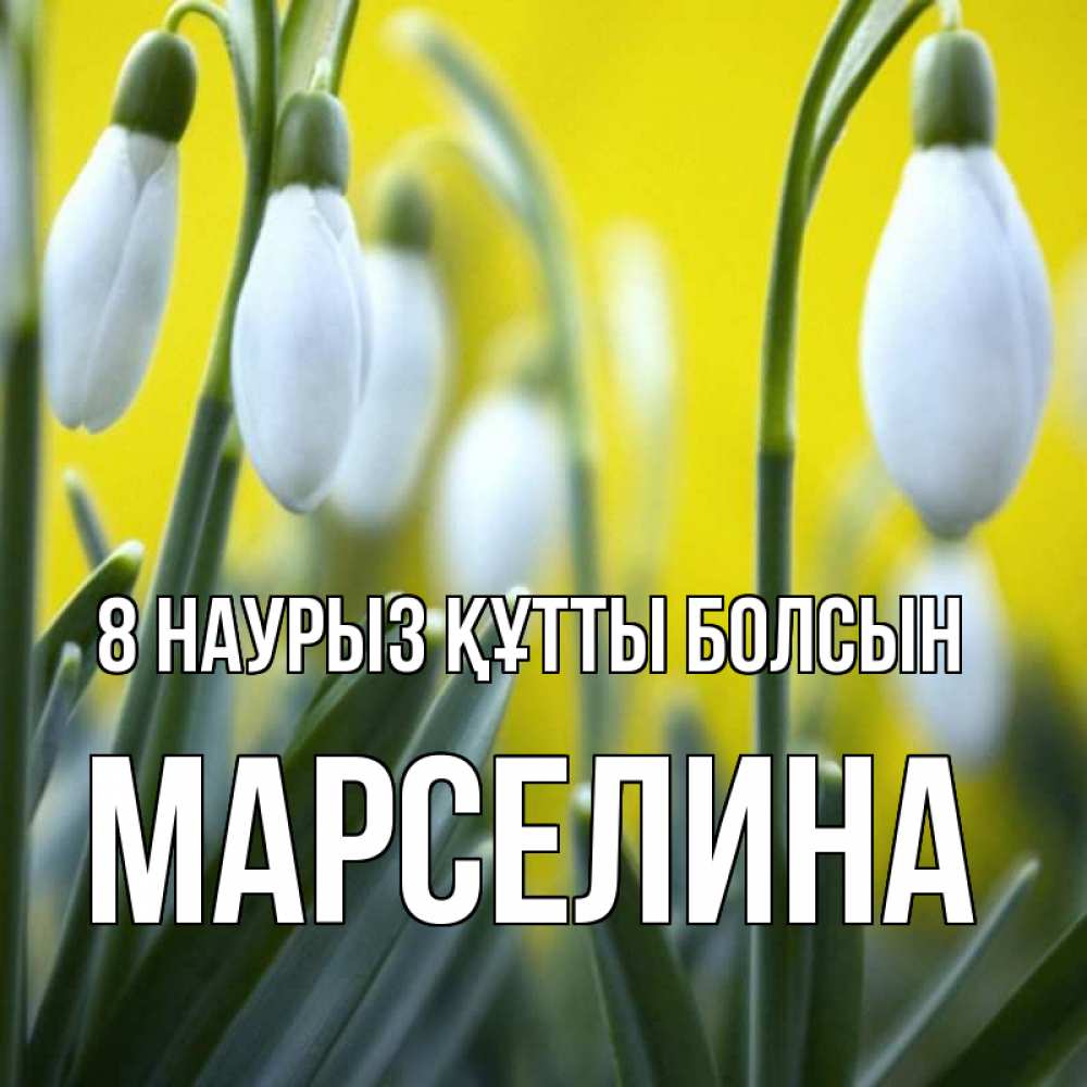 Күн сайын ашық хат с именем, Марселина 8 наурыз құтты болсын весенние цветы Онлайн тегін жүктеп алу тілектері бар керемет карта 