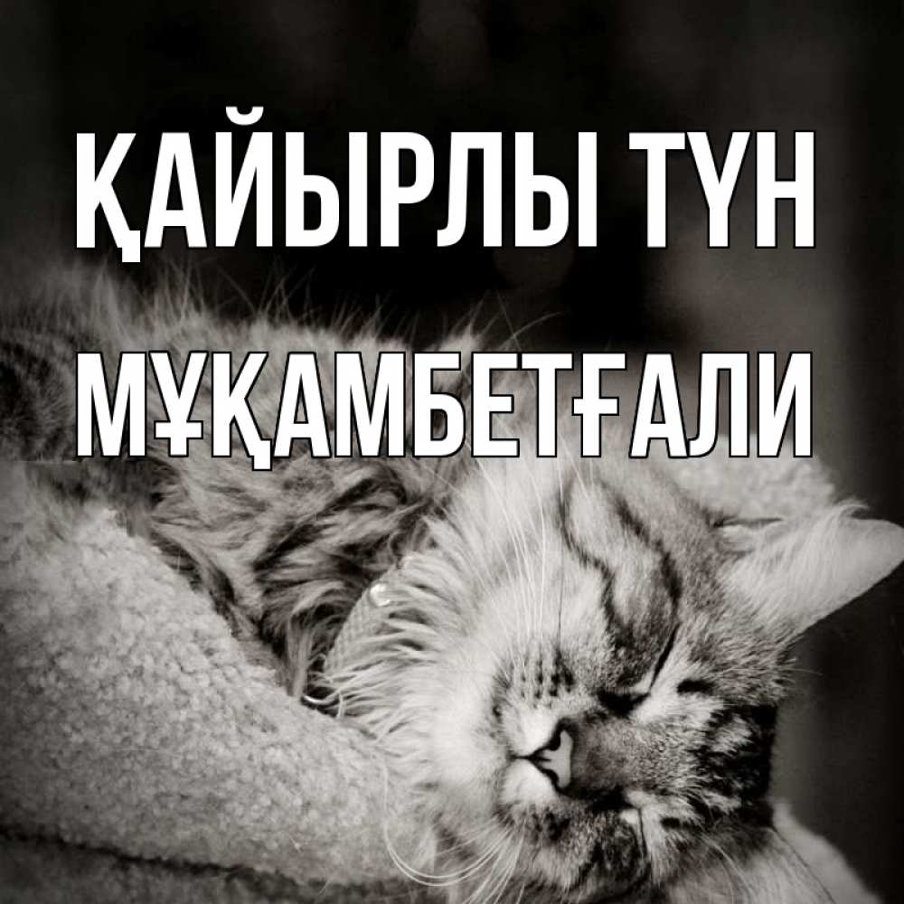 Күн сайын ашық хат с именем, Мұқамбетғали Қайырлы түн котярик пушистый Онлайн тегін жүктеп алу тілектері бар керемет карта 