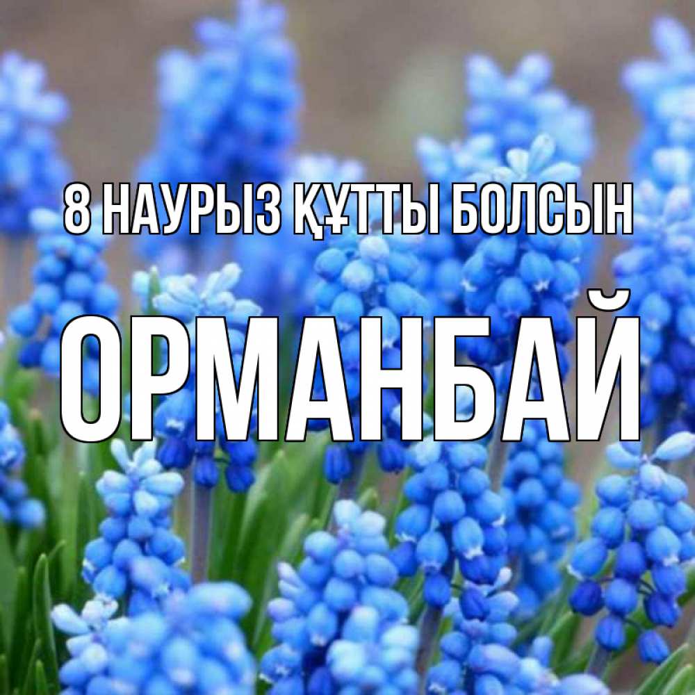 Күн сайын ашық хат с именем, ОРМАНБАЙ 8 наурыз құтты болсын Поздравительная открытка для женщин с цветами на праздничную дату Онлайн тегін жүктеп алу тілектері бар керемет карта 