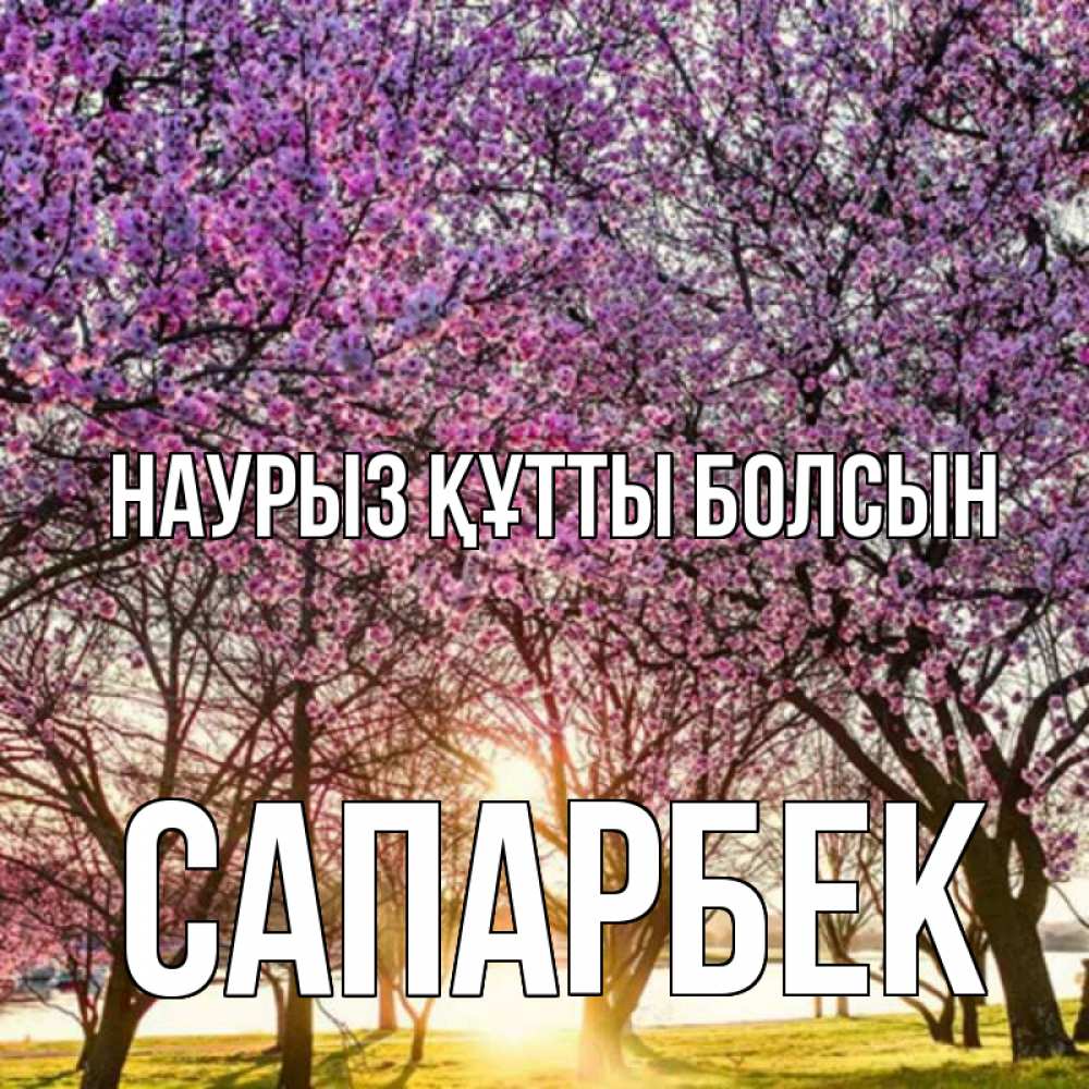 Күн сайын ашық хат с именем, САПАРБЕК Наурыз құтты болсын наурыз Онлайн тегін жүктеп алу тілектері бар керемет карта 