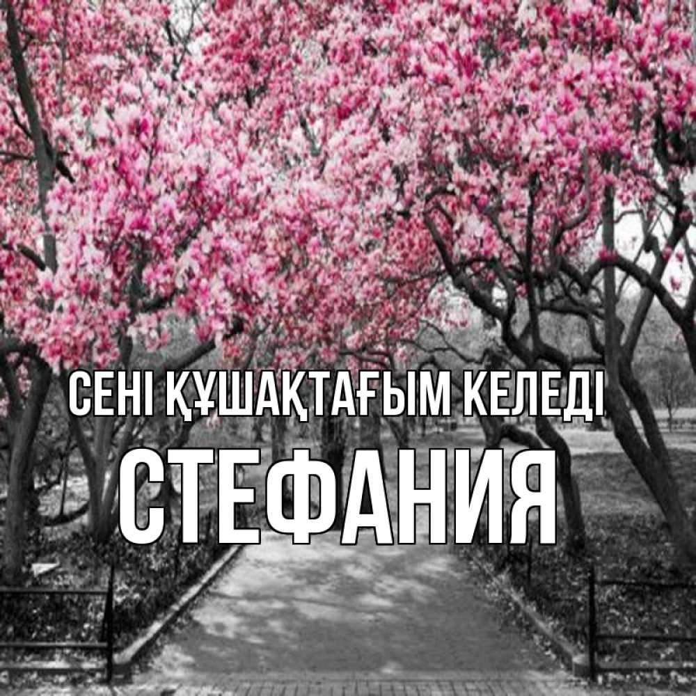 Күн сайын ашық хат с именем, Стефания сені құшақтағым келеді обработанное фото Онлайн тегін жүктеп алу тілектері бар керемет карта 