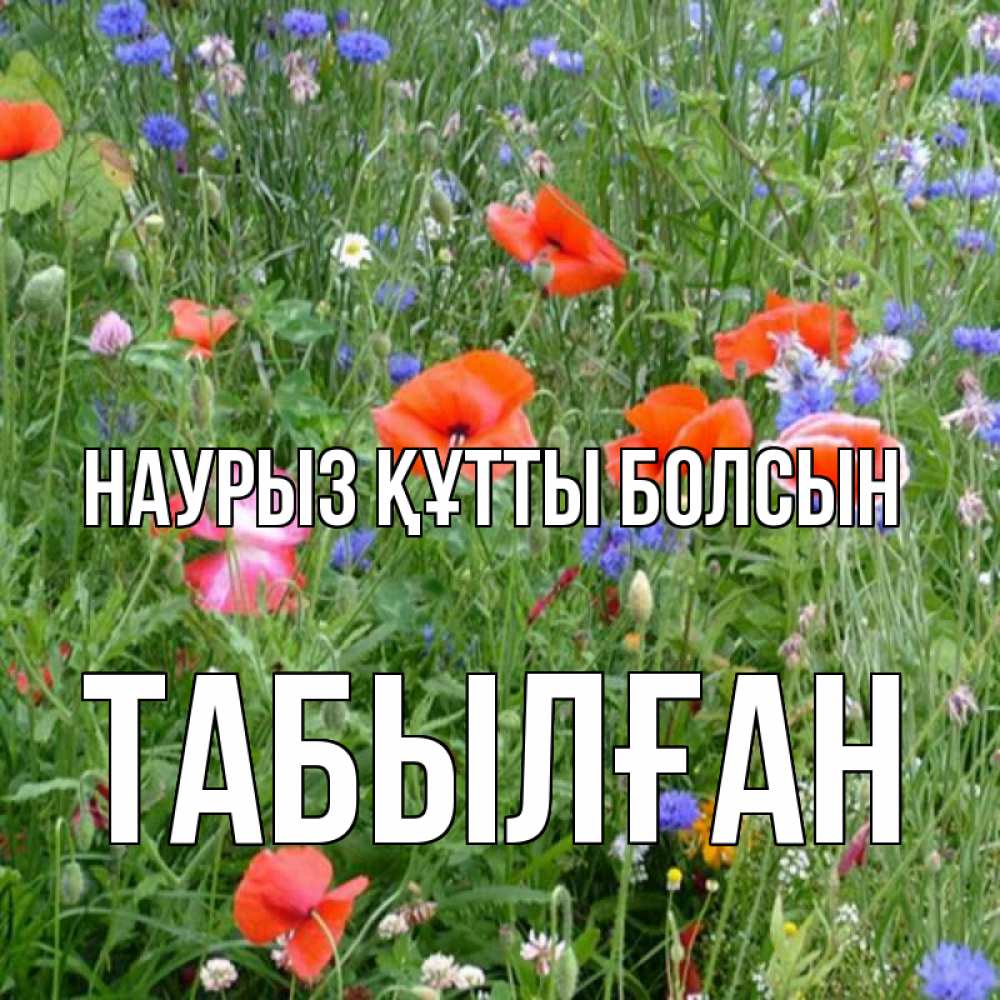 Күн сайын ашық хат с именем, ТАБЫЛҒАН Наурыз құтты болсын наурыз  4 Онлайн тегін жүктеп алу тілектері бар керемет карта 
