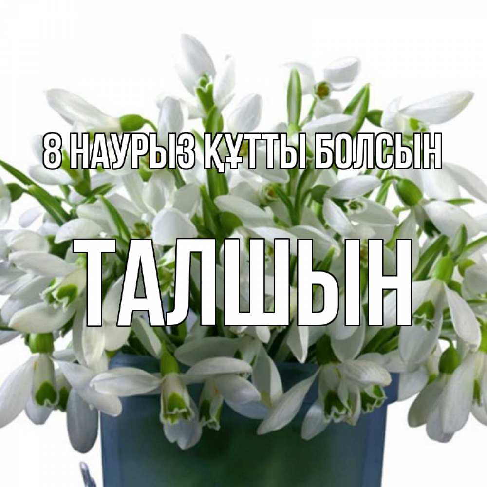 Күн сайын ашық хат с именем, ТАЛШЫН 8 наурыз құтты болсын цветы к международному женскому дню Онлайн тегін жүктеп алу тілектері бар керемет карта 