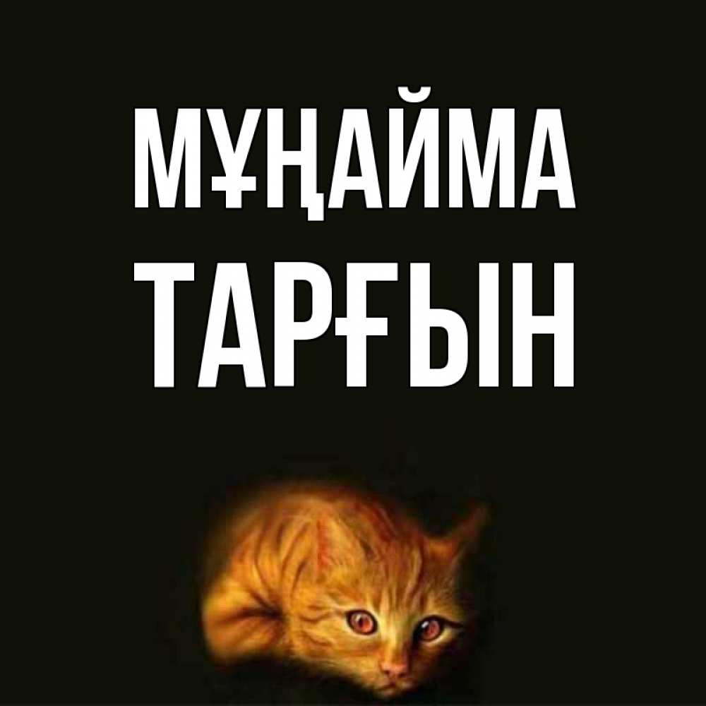 Күн сайын ашық хат с именем, ТАРҒЫН Мұңайма лежащий кот в темноте Онлайн тегін жүктеп алу тілектері бар керемет карта 