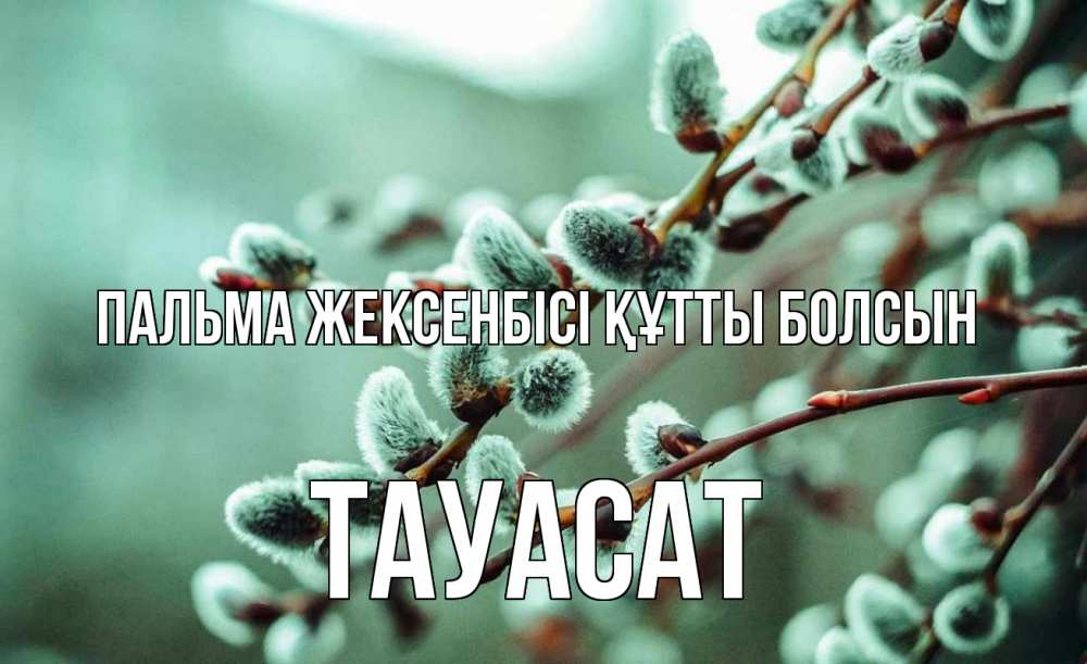 Күн сайын ашық хат с именем, ТАУАСАТ Пальма жексенбісі құтты болсын верба Онлайн тегін жүктеп алу тілектері бар керемет карта 
