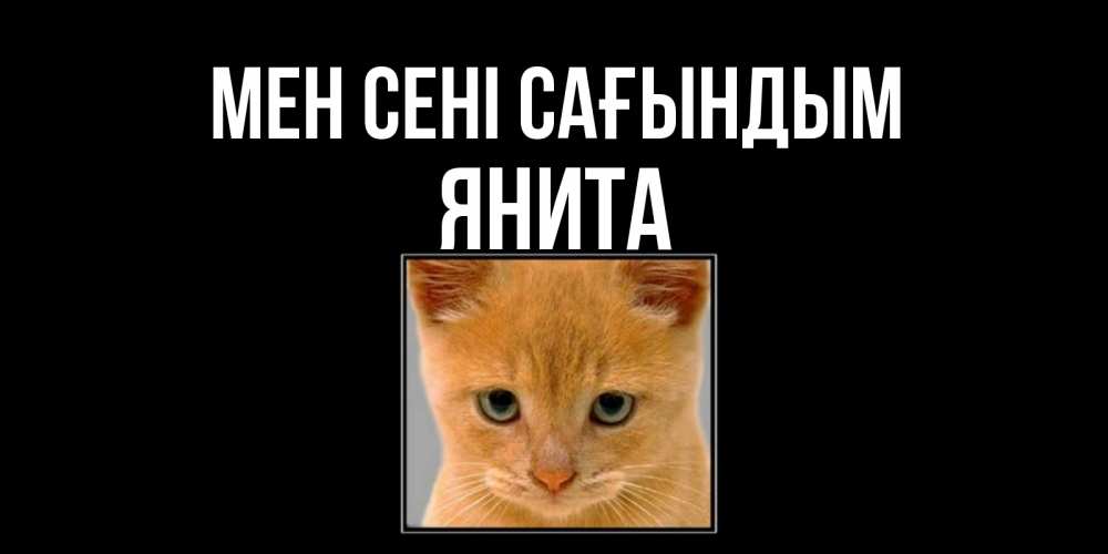 Күн сайын ашық хат с именем, Янита Мен сені сағындым открытки рыжий котенок скучает по тебе Онлайн тегін жүктеп алу тілектері бар керемет карта 