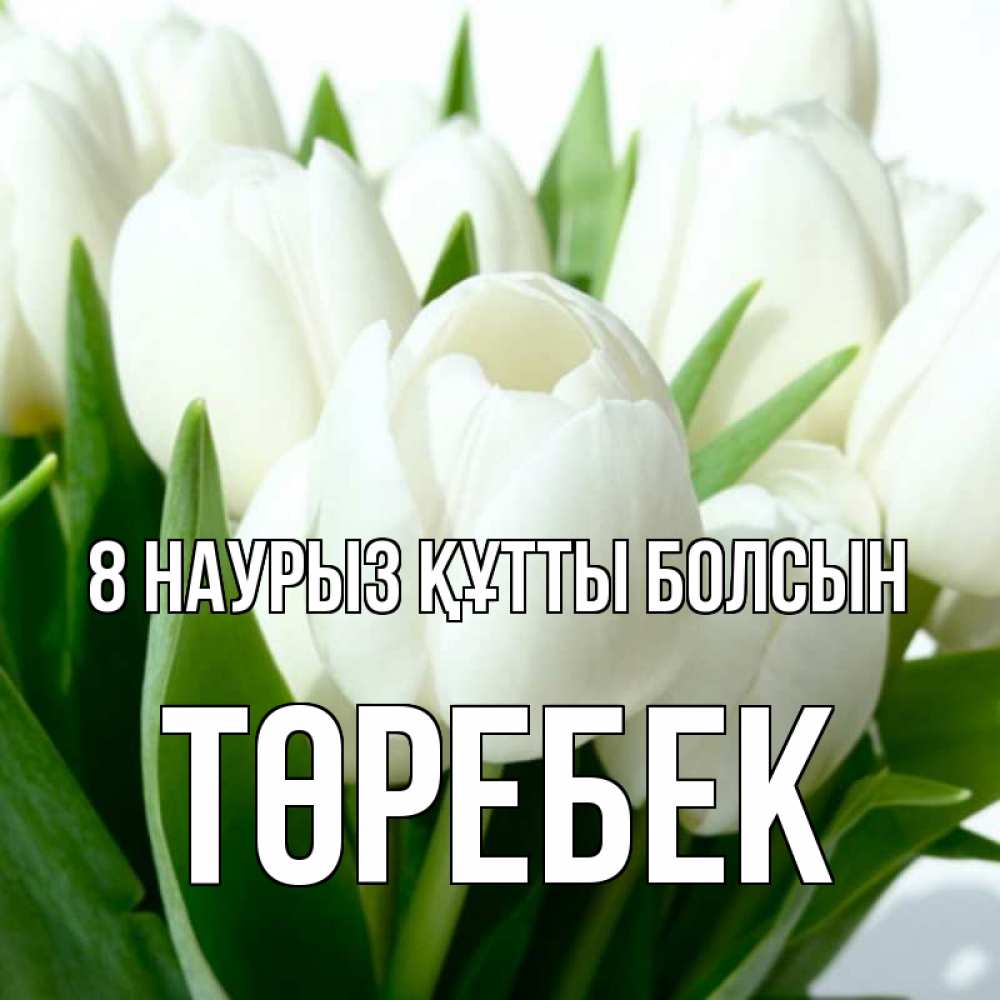 Күн сайын ашық хат с именем, ТӨРЕБЕК 8 наурыз құтты болсын цветы Онлайн тегін жүктеп алу тілектері бар керемет карта 