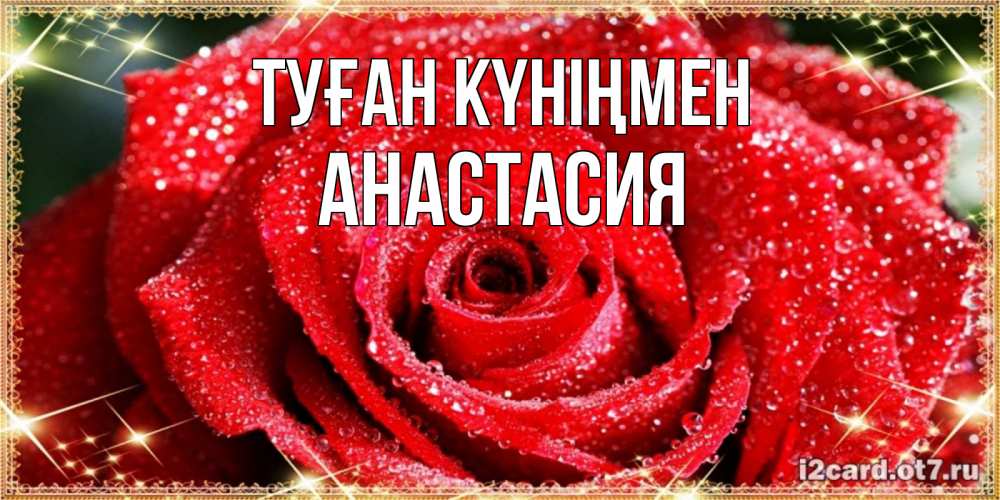 Күн сайын ашық хат с именем, Анастасия Туған күніңмен роса и роза. открытка с красивой розой Онлайн тегін жүктеп алу тілектері бар керемет карта 