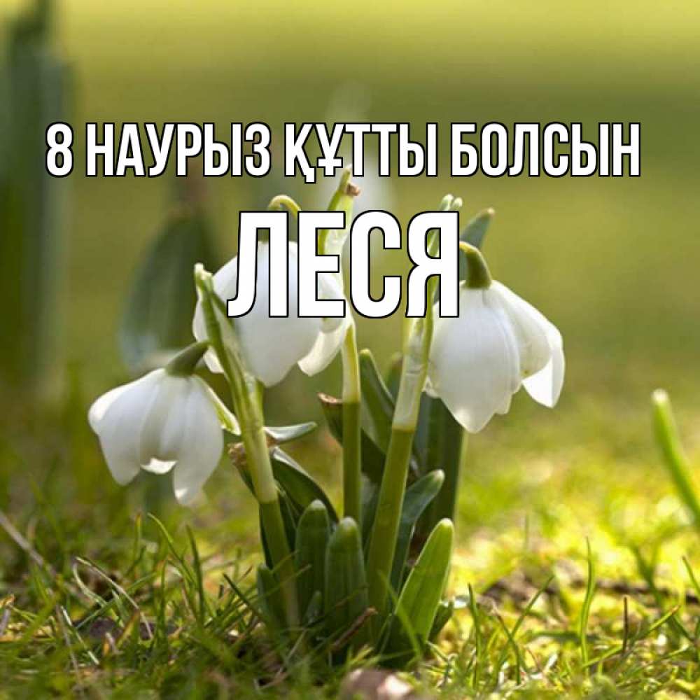 Күн сайын ашық хат с именем, Леся 8 наурыз құтты болсын ранние цветы 2 Онлайн тегін жүктеп алу тілектері бар керемет карта 