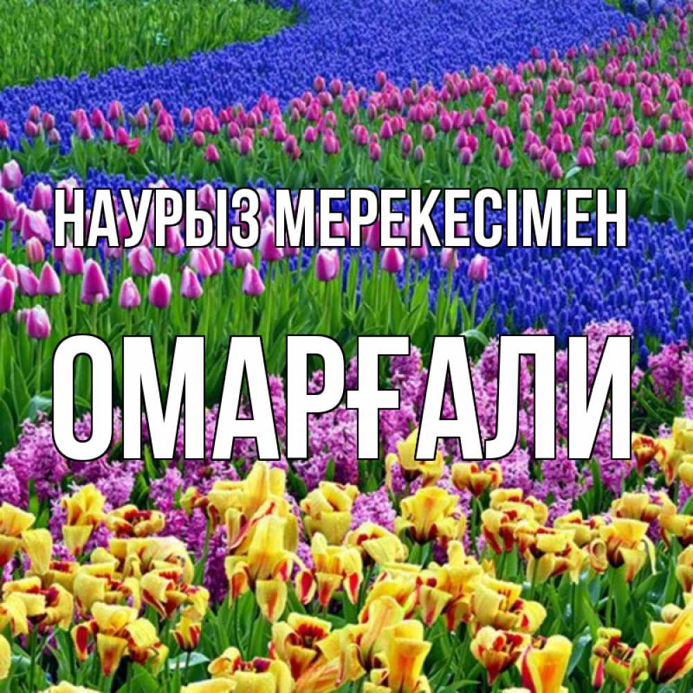 Күн сайын ашық хат с именем, ОМАРҒАЛИ Наурыз мерекесімен цветы Онлайн тегін жүктеп алу тілектері бар керемет карта 
