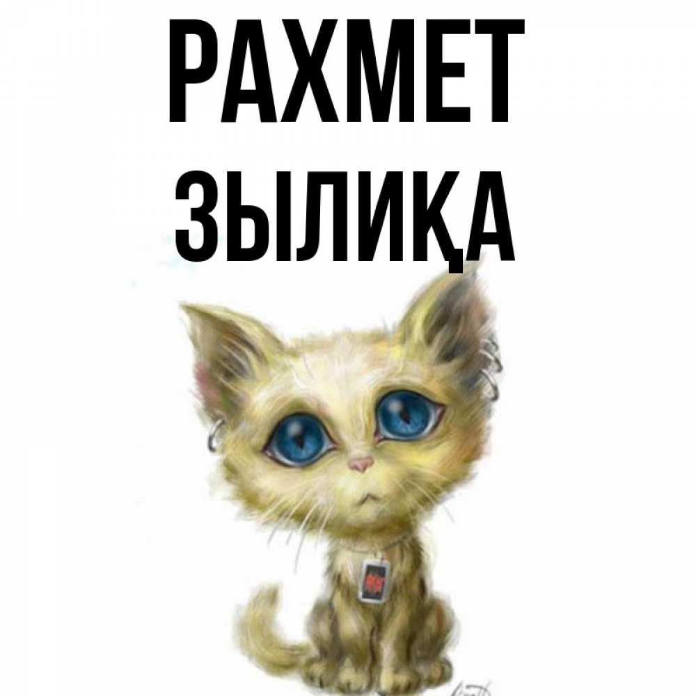 Күн сайын ашық хат с именем, ЗЫЛИҚА рахмет рисованный кот благодарит вас Онлайн тегін жүктеп алу тілектері бар керемет карта 
