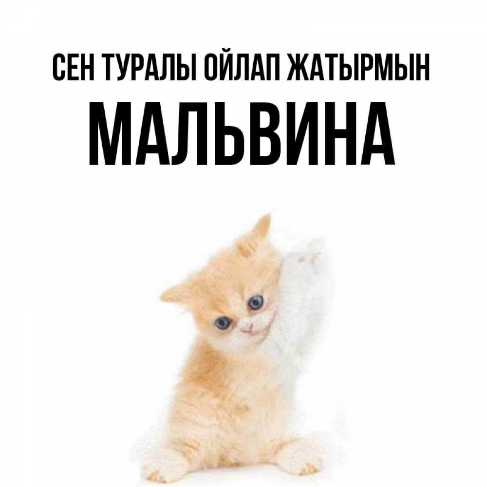 Күн сайын ашық хат с именем, Мальвина Сен туралы ойлап жатырмын зверушки и милота Онлайн тегін жүктеп алу тілектері бар керемет карта 