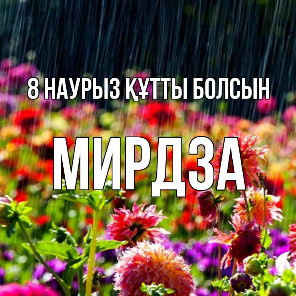 Күн сайын ашық хат с именем, Мирдза 8 наурыз құтты болсын цветы под дождиком к международному женскому дню Онлайн тегін жүктеп алу тілектері бар керемет карта 