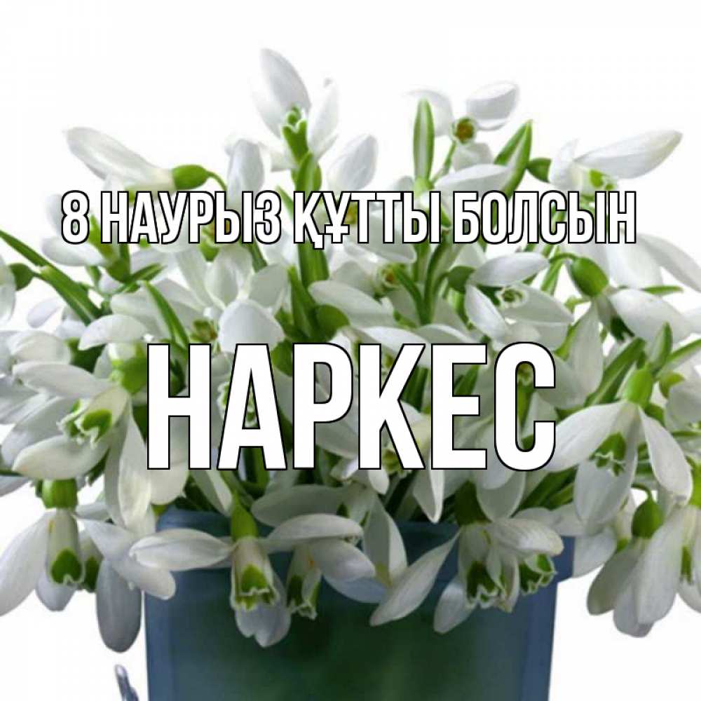Күн сайын ашық хат с именем, НАРКЕС 8 наурыз құтты болсын цветы к международному женскому дню Онлайн тегін жүктеп алу тілектері бар керемет карта 