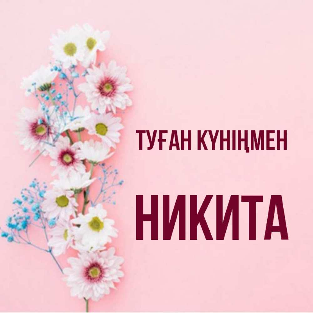 Күн сайын ашық хат с именем, Никита Туған күніңмен Родная моя с днем рождения тебя картинка с цветами белыми и голубыми Онлайн тегін жүктеп алу тілектері бар керемет карта 