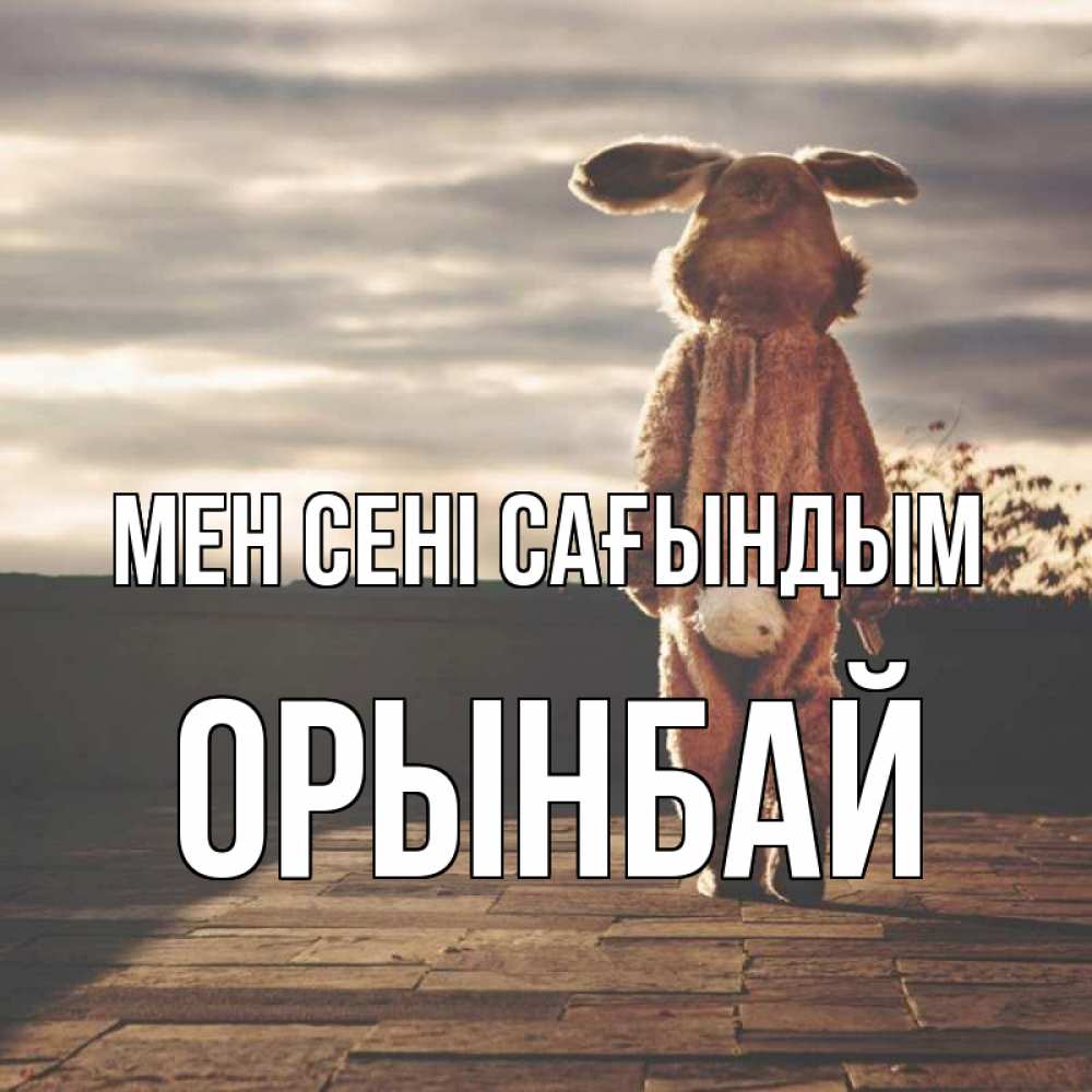 Күн сайын ашық хат с именем, ОРЫНБАЙ Мен сені сағындым даже в костюме зайца Онлайн тегін жүктеп алу тілектері бар керемет карта 