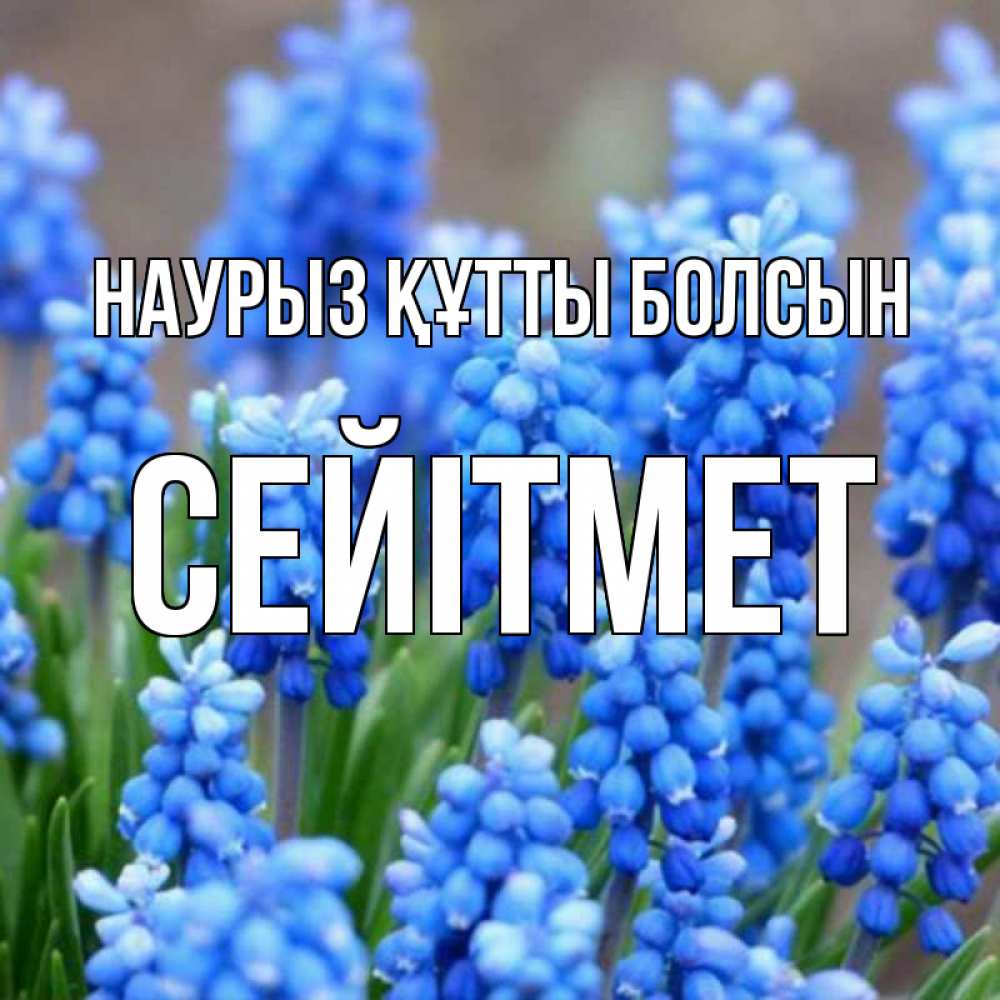 Күн сайын ашық хат с именем, СЕЙІТМЕТ Наурыз құтты болсын Поздравительная открытка для женщин с цветами на праздничную дату Онлайн тегін жүктеп алу тілектері бар керемет карта 