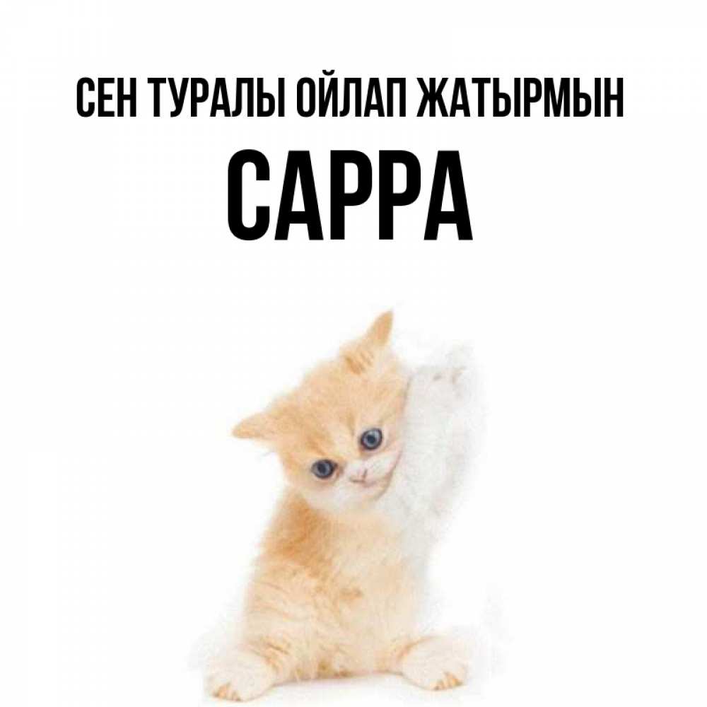 Күн сайын ашық хат с именем, Сарра Сен туралы ойлап жатырмын зверушки и милота Онлайн тегін жүктеп алу тілектері бар керемет карта 