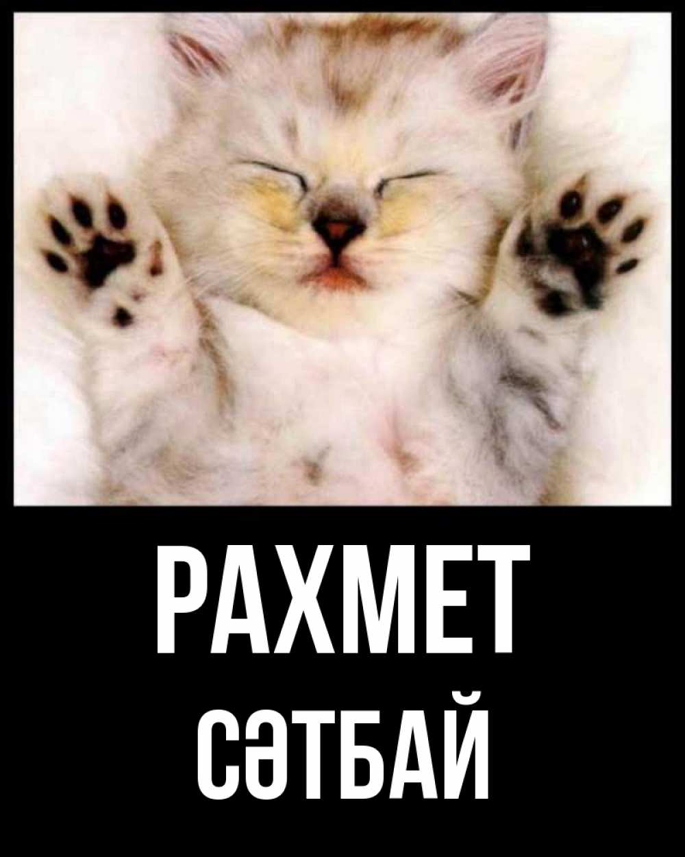 Күн сайын ашық хат с именем, СӘТБАЙ рахмет маленький котенок Онлайн тегін жүктеп алу тілектері бар керемет карта 