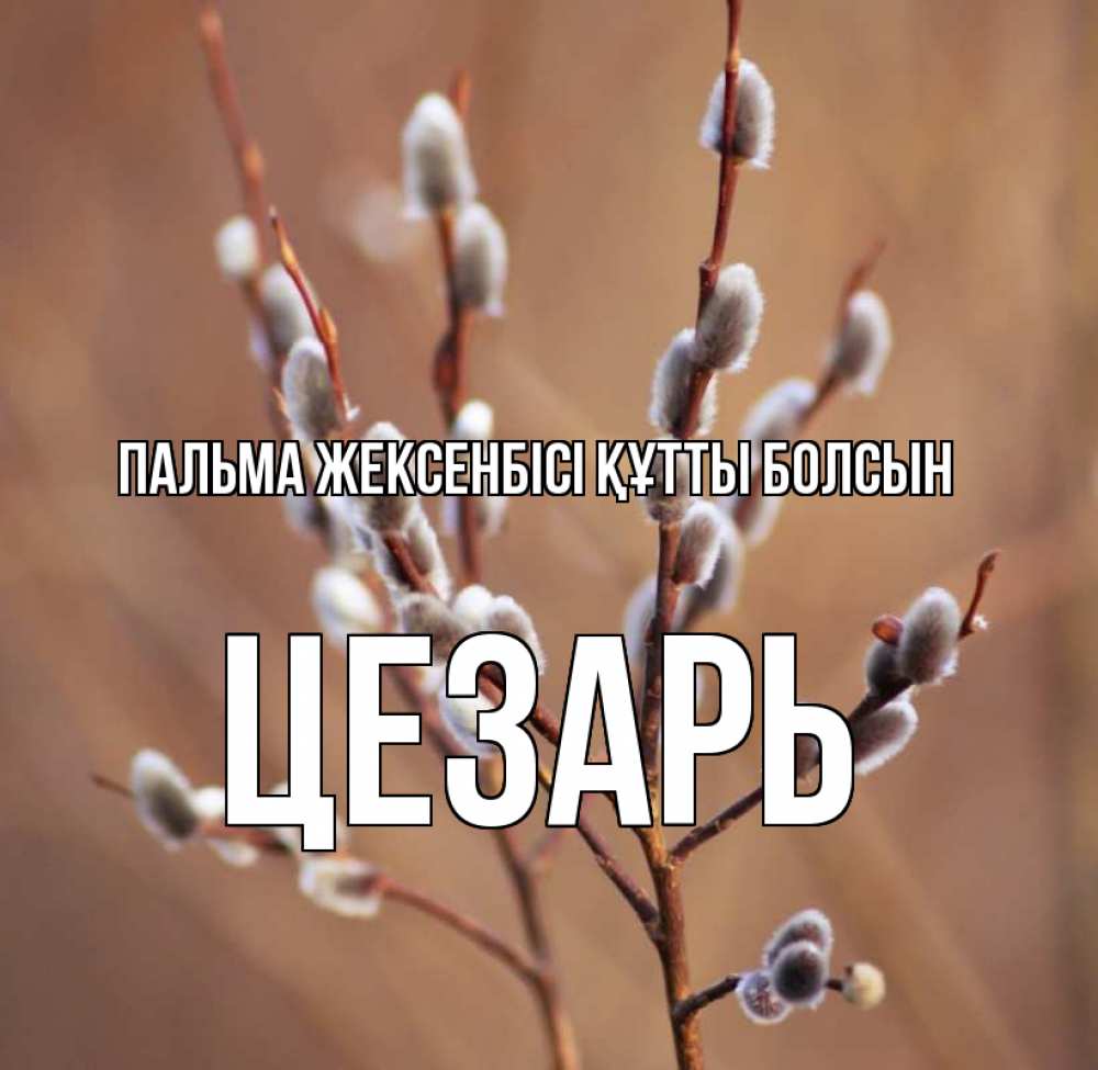 Күн сайын ашық хат с именем, Цезарь Пальма жексенбісі құтты болсын верба Онлайн тегін жүктеп алу тілектері бар керемет карта 