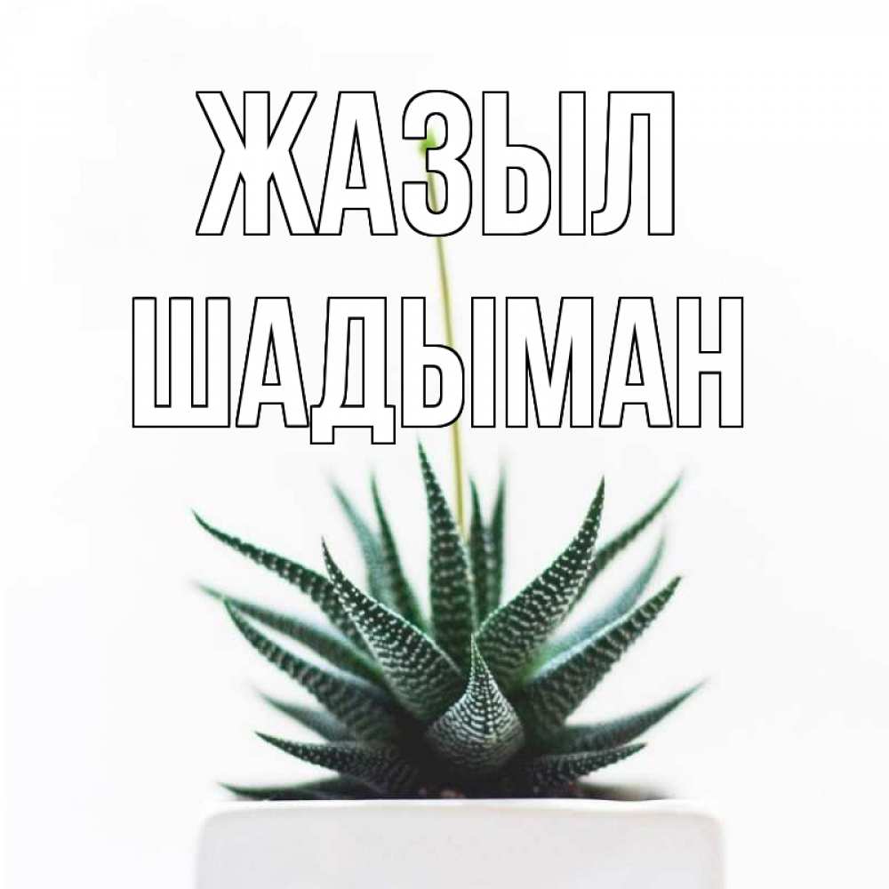 Күн сайын ашық хат с именем, ШАДЫМАН Жазыл короче это непонятная колючка Онлайн тегін жүктеп алу тілектері бар керемет карта 