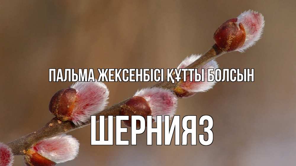 Күн сайын ашық хат с именем, ШЕРНИЯЗ Пальма жексенбісі құтты болсын верба Онлайн тегін жүктеп алу тілектері бар керемет карта 