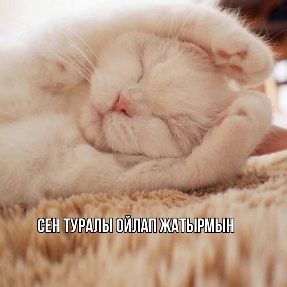 Күн сайын ашық хат с именем, выберите-имя Сен туралы ойлап жатырмын для любимой девушки милота Онлайн тегін жүктеп алу тілектері бар керемет карта 