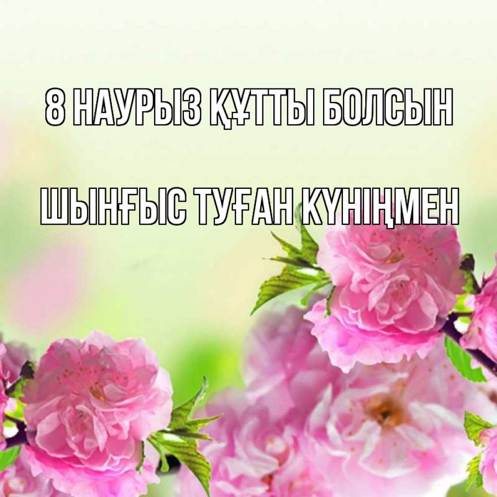 Картинка 8 наурыз құтты болсын, ШЫНҒЫС! ТУҒАН КҮНІҢМЕН!