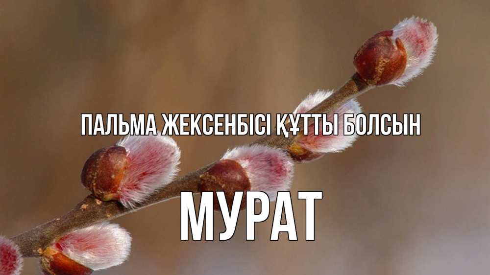Картинка Пальма жексенбісі құтты болсын, Мурат