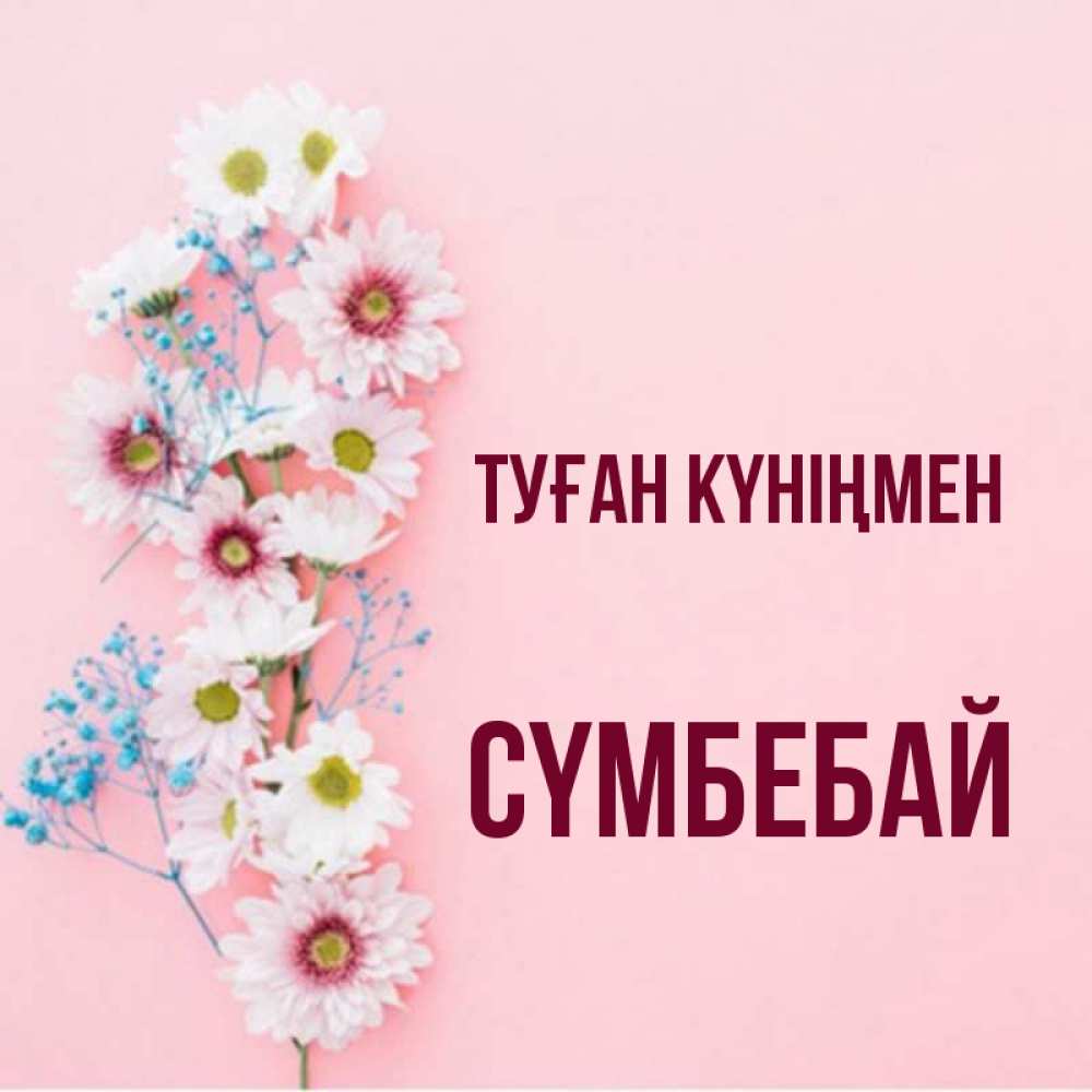 Күн сайын ашық хат с именем, СҮМБЕБАЙ Туған күніңмен Родная моя с днем рождения тебя картинка с цветами белыми и голубыми Онлайн тегін жүктеп алу тілектері бар керемет карта 