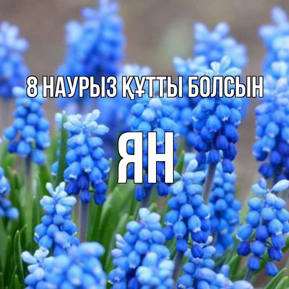 Күн сайын ашық хат с именем, Ян 8 наурыз құтты болсын Поздравительная открытка для женщин с цветами на праздничную дату Онлайн тегін жүктеп алу тілектері бар керемет карта 