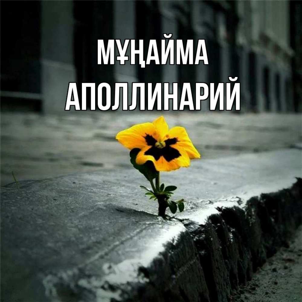 Күн сайын ашық хат с именем, Аполлинарий Мұңайма не сдавайся Онлайн тегін жүктеп алу тілектері бар керемет карта 