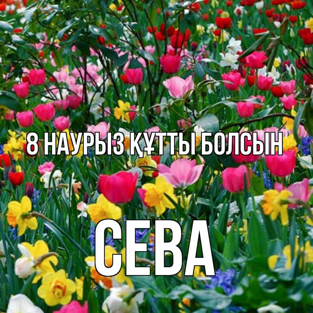 Күн сайын ашық хат с именем, Сева 8 наурыз құтты болсын с международным женским днем поздравления для женщины Онлайн тегін жүктеп алу тілектері бар керемет карта 