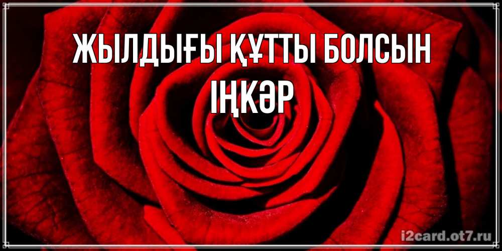 Күн сайын ашық хат с именем, ІҢКӘР Жылдығы құтты болсын алая роза Онлайн тегін жүктеп алу тілектері бар керемет карта 