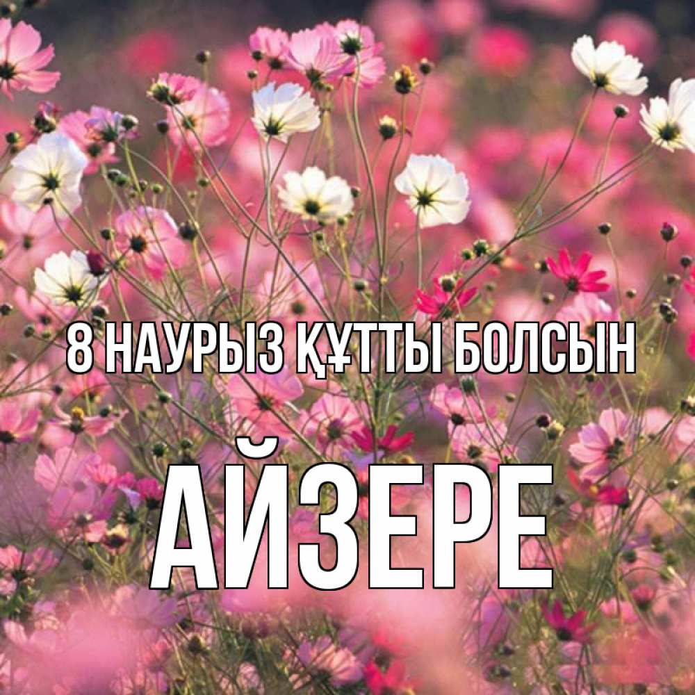 Күн сайын ашық хат с именем, АЙЗЕРЕ 8 наурыз құтты болсын красиво 1 Онлайн тегін жүктеп алу тілектері бар керемет карта 