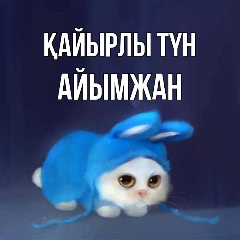 Күн сайын ашық хат с именем, АЙЫМЖАН Қайырлы түн кот в голубом костюме кролика с ушками Онлайн тегін жүктеп алу тілектері бар керемет карта 