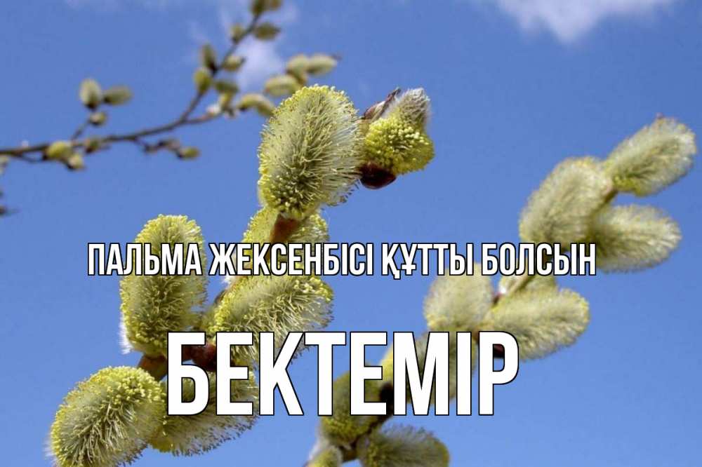 Күн сайын ашық хат с именем, Бектемір Пальма жексенбісі құтты болсын верба Онлайн тегін жүктеп алу тілектері бар керемет карта 
