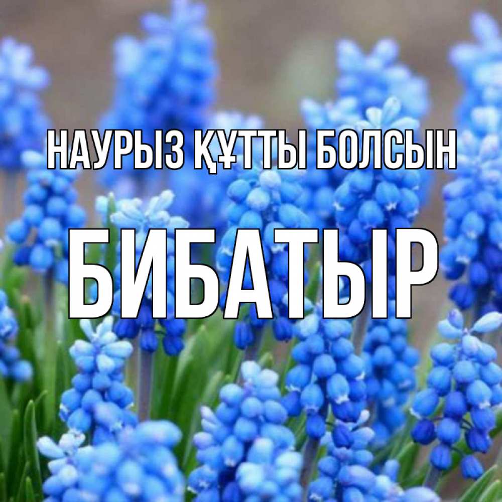 Күн сайын ашық хат с именем, Бибатыр Наурыз құтты болсын Поздравительная открытка для женщин с цветами на праздничную дату Онлайн тегін жүктеп алу тілектері бар керемет карта 