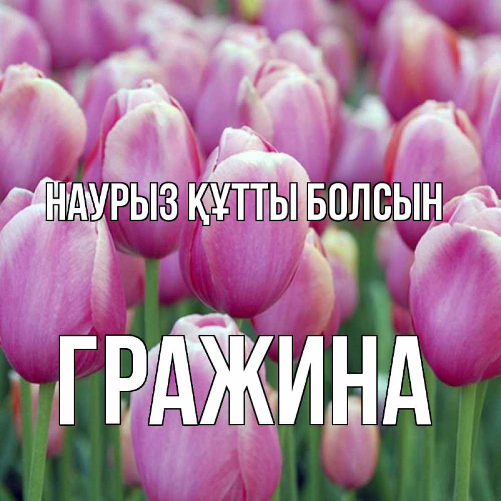 Күн сайын ашық хат с именем, Гражина Наурыз құтты болсын на наурыз  день 3 Онлайн тегін жүктеп алу тілектері бар керемет карта 