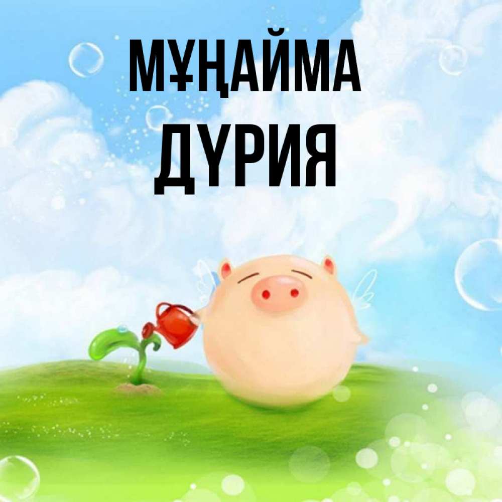 Күн сайын ашық хат с именем, ДҮРИЯ Мұңайма поливает цветок порося Онлайн тегін жүктеп алу тілектері бар керемет карта 