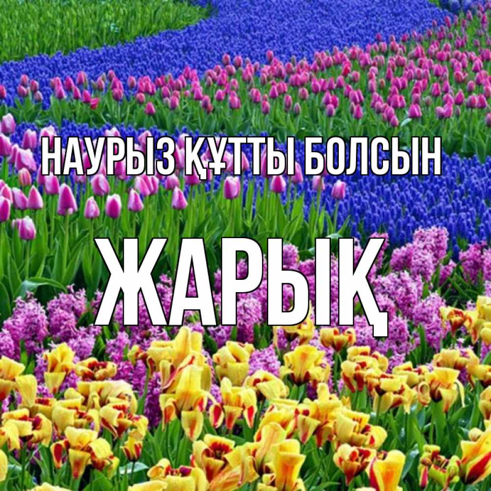Күн сайын ашық хат с именем, Жарық Наурыз құтты болсын цветы Онлайн тегін жүктеп алу тілектері бар керемет карта 