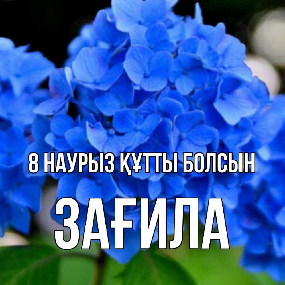 Күн сайын ашық хат с именем, ЗАҒИЛА 8 наурыз құтты болсын синие цветы Онлайн тегін жүктеп алу тілектері бар керемет карта 
