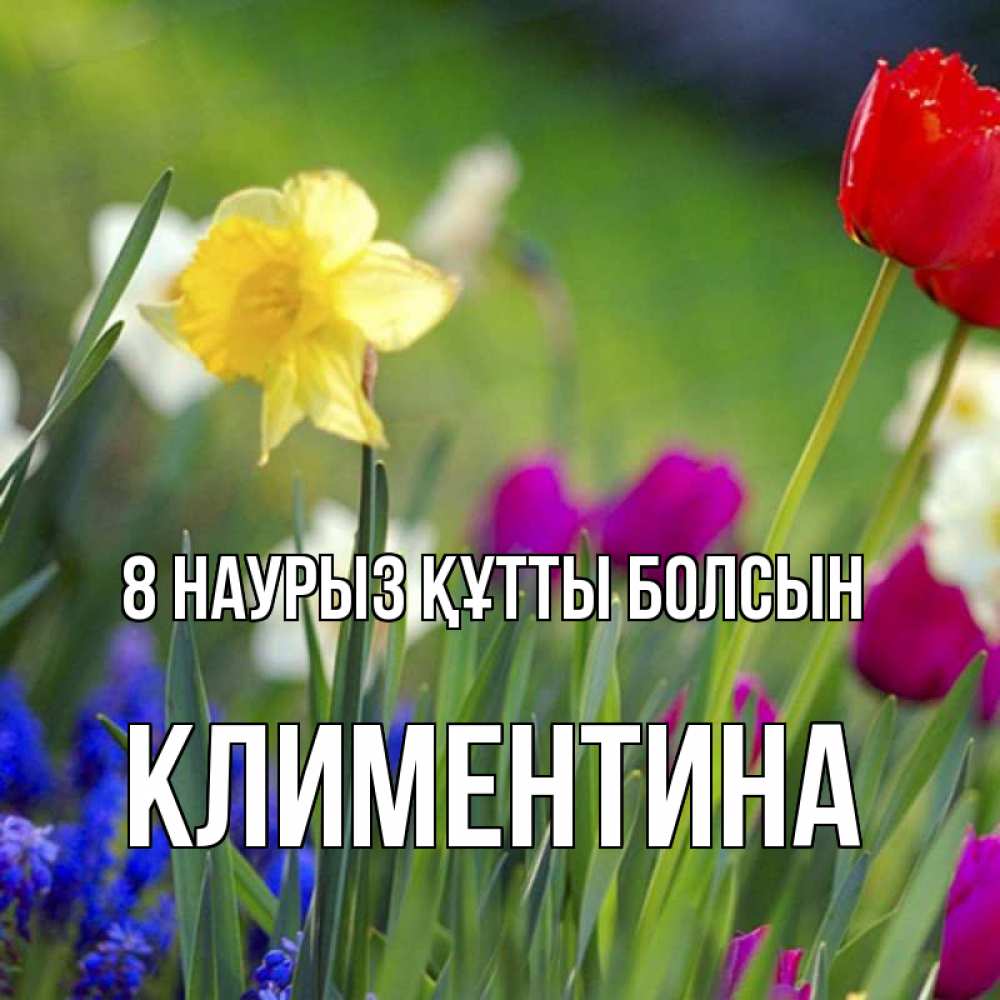 Күн сайын ашық хат с именем, Климентина 8 наурыз құтты болсын международный женский день 3 Онлайн тегін жүктеп алу тілектері бар керемет карта 