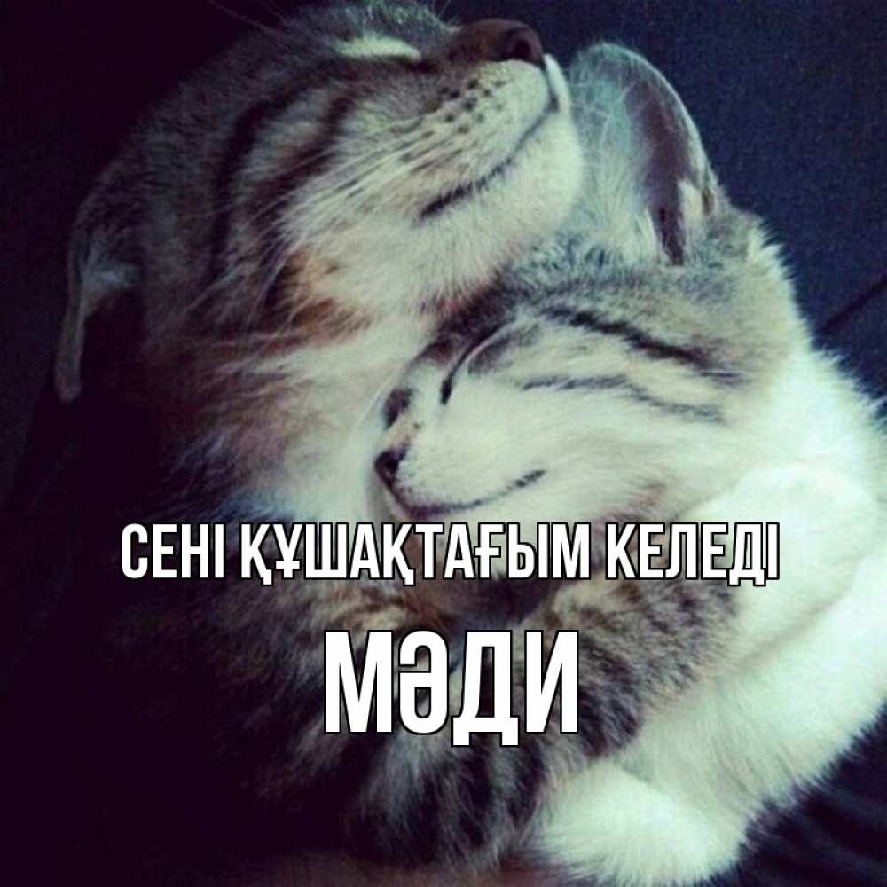 Күн сайын ашық хат с именем, МӘДИ сені құшақтағым келеді полосатики Онлайн тегін жүктеп алу тілектері бар керемет карта 