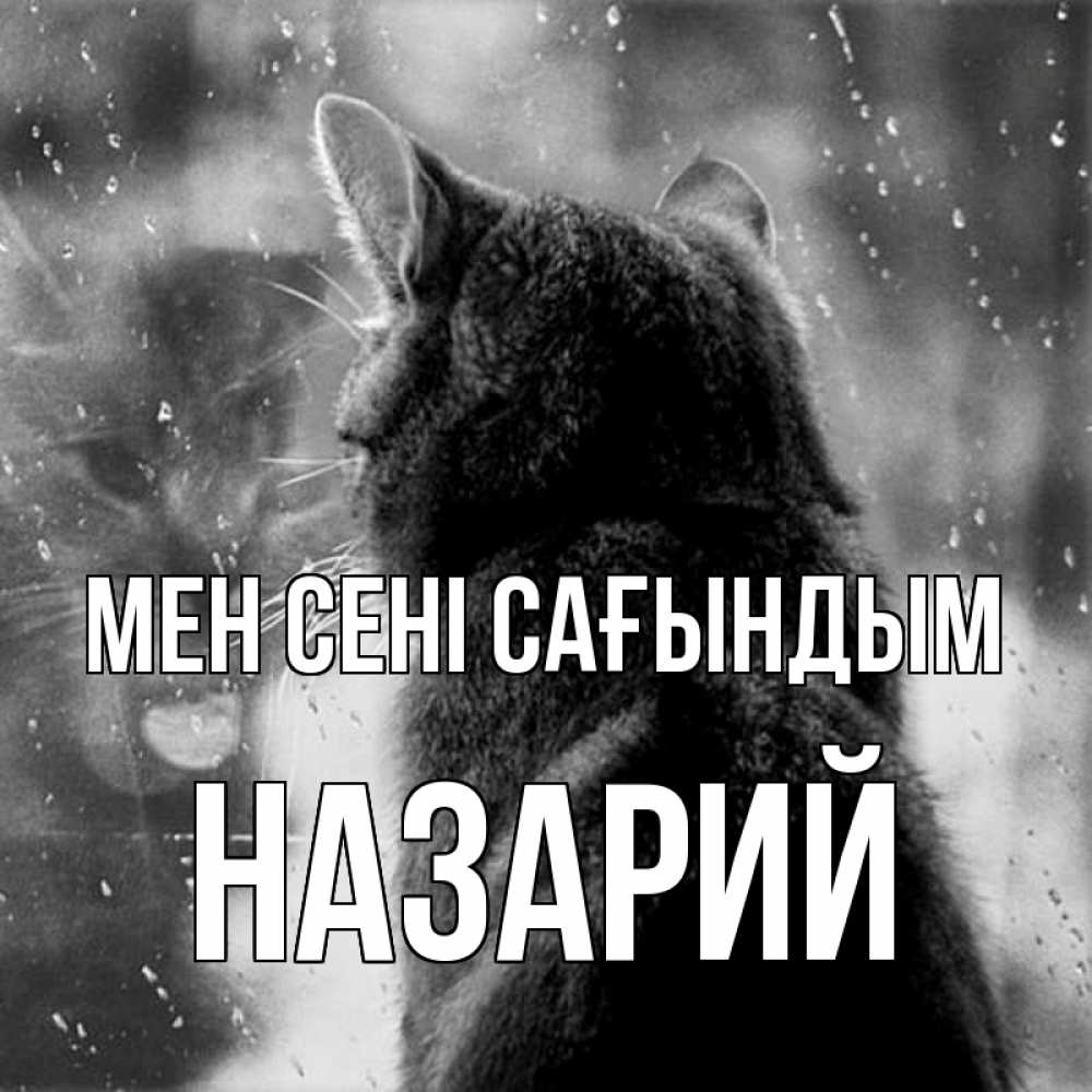 Күн сайын ашық хат с именем, Назарий Мен сені сағындым скорее ко мне приходи 1 Онлайн тегін жүктеп алу тілектері бар керемет карта 