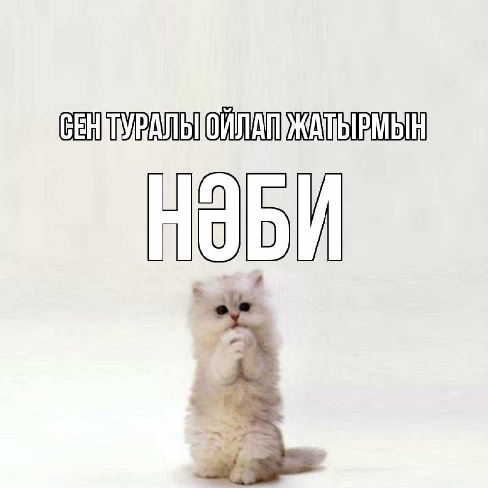 Күн сайын ашық хат с именем, НӘБИ Сен туралы ойлап жатырмын кот стоит на задних лапах Онлайн тегін жүктеп алу тілектері бар керемет карта 