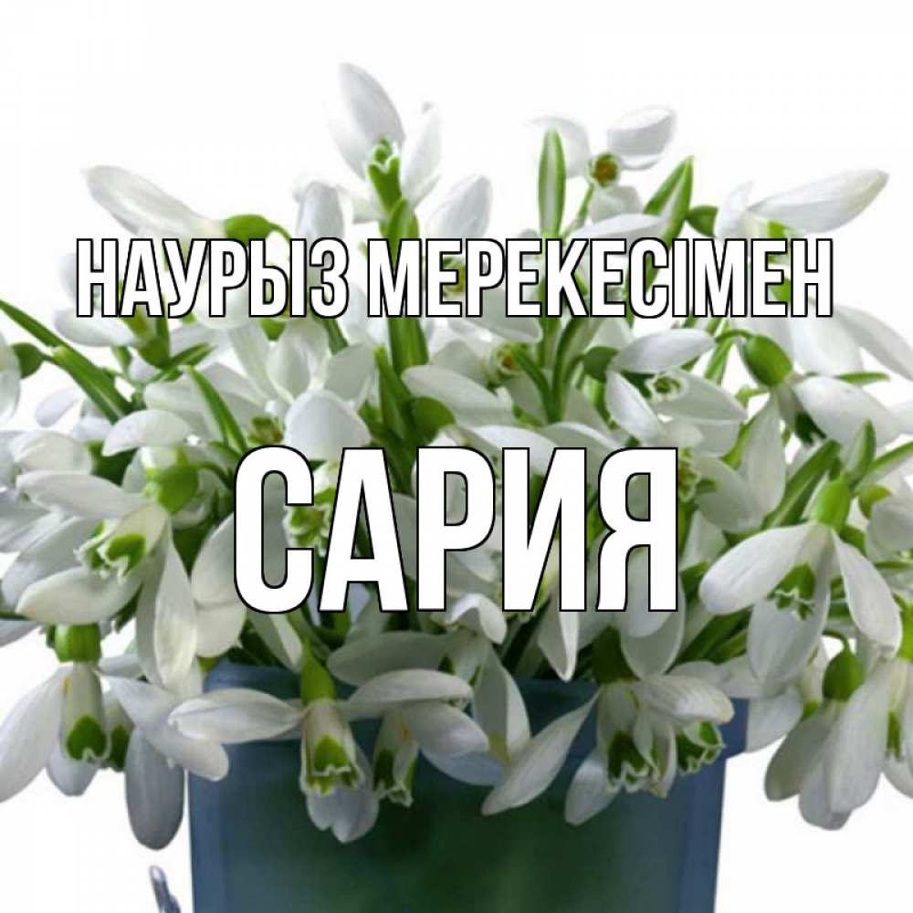 Күн сайын ашық хат с именем, САРИЯ Наурыз мерекесімен цветы к наурызу новый год в Казахстане Онлайн тегін жүктеп алу тілектері бар керемет карта 