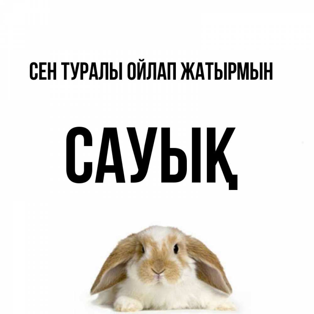 Күн сайын ашық хат с именем, САУЫҚ Сен туралы ойлап жатырмын подписать своими руками онлайн Онлайн тегін жүктеп алу тілектері бар керемет карта 